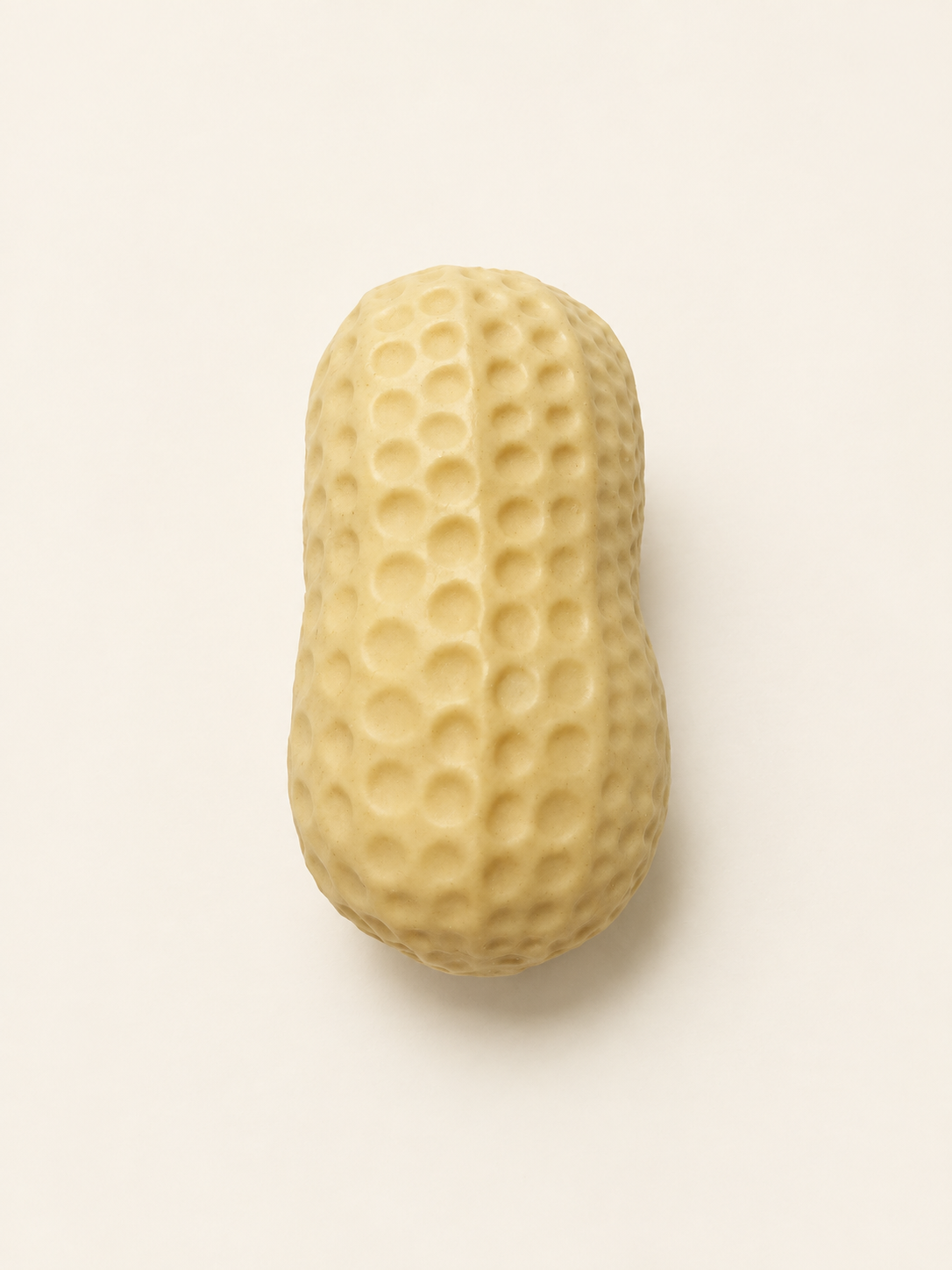 Crunchy Peanut Squishy