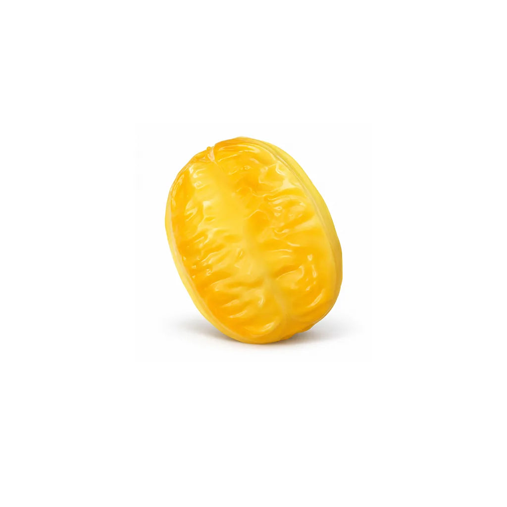 Fried Dough Squishy